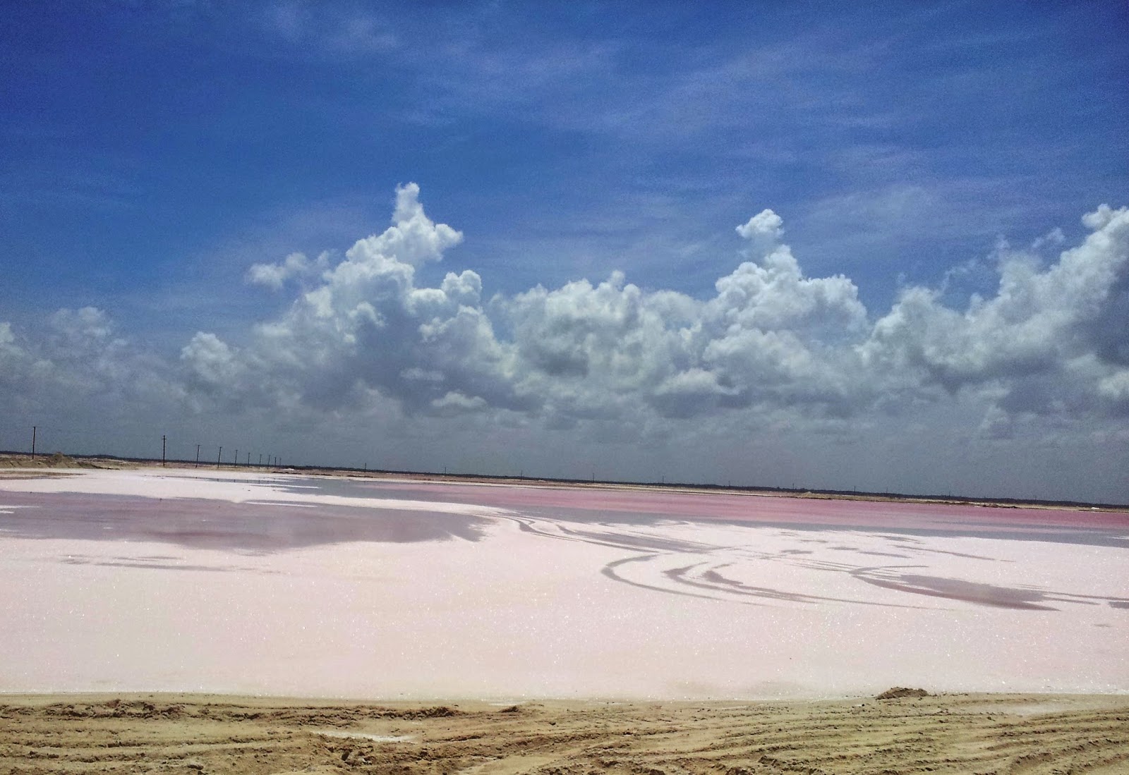   Las Coloradas. Pink lagoon Las Coloradas