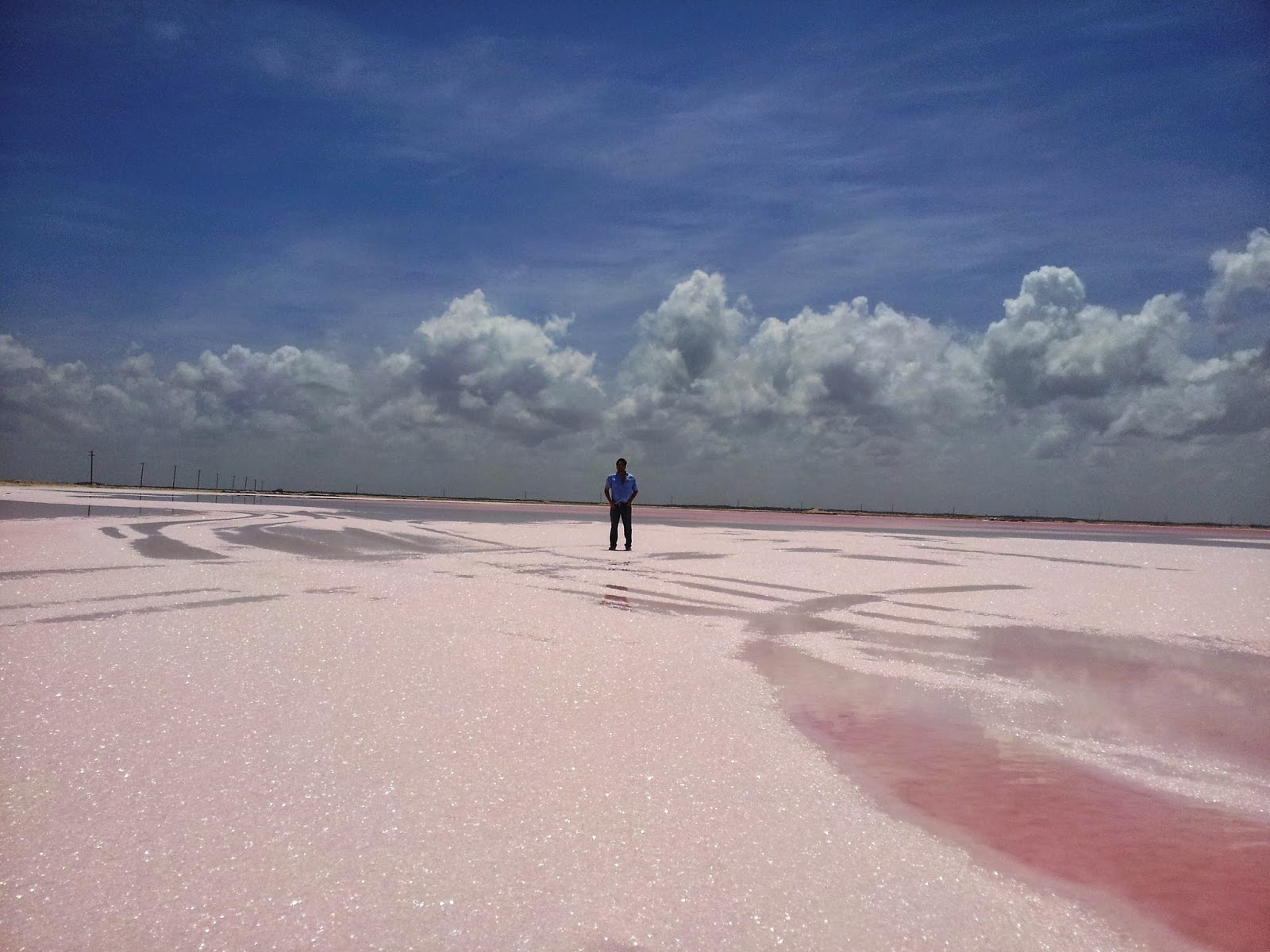   Las Coloradas. Pink lagoon Las Coloradas