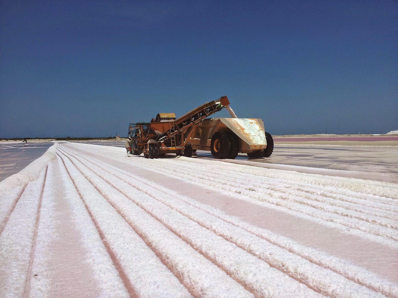 Химия и Химики № 6 2016. Розовая лагуна Las Coloradas. Pink lagoon Las  Coloradas