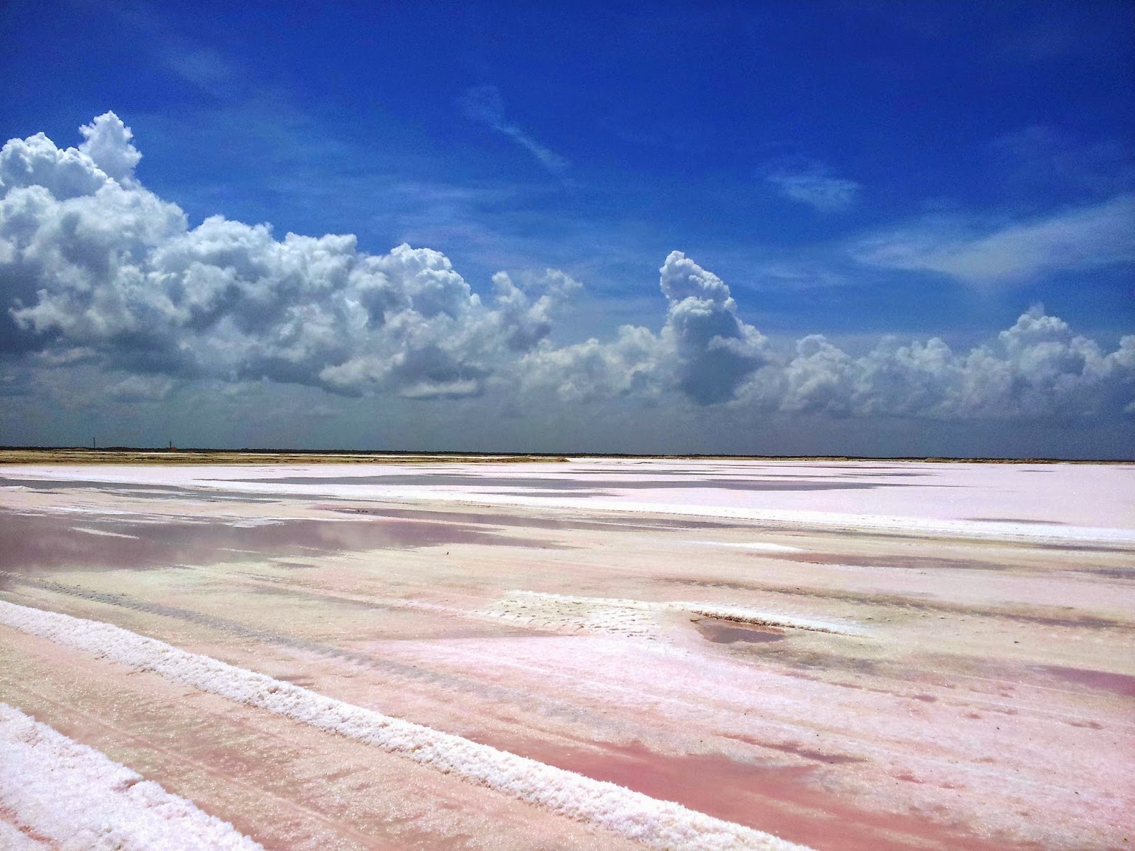   Las Coloradas. Pink lagoon Las Coloradas