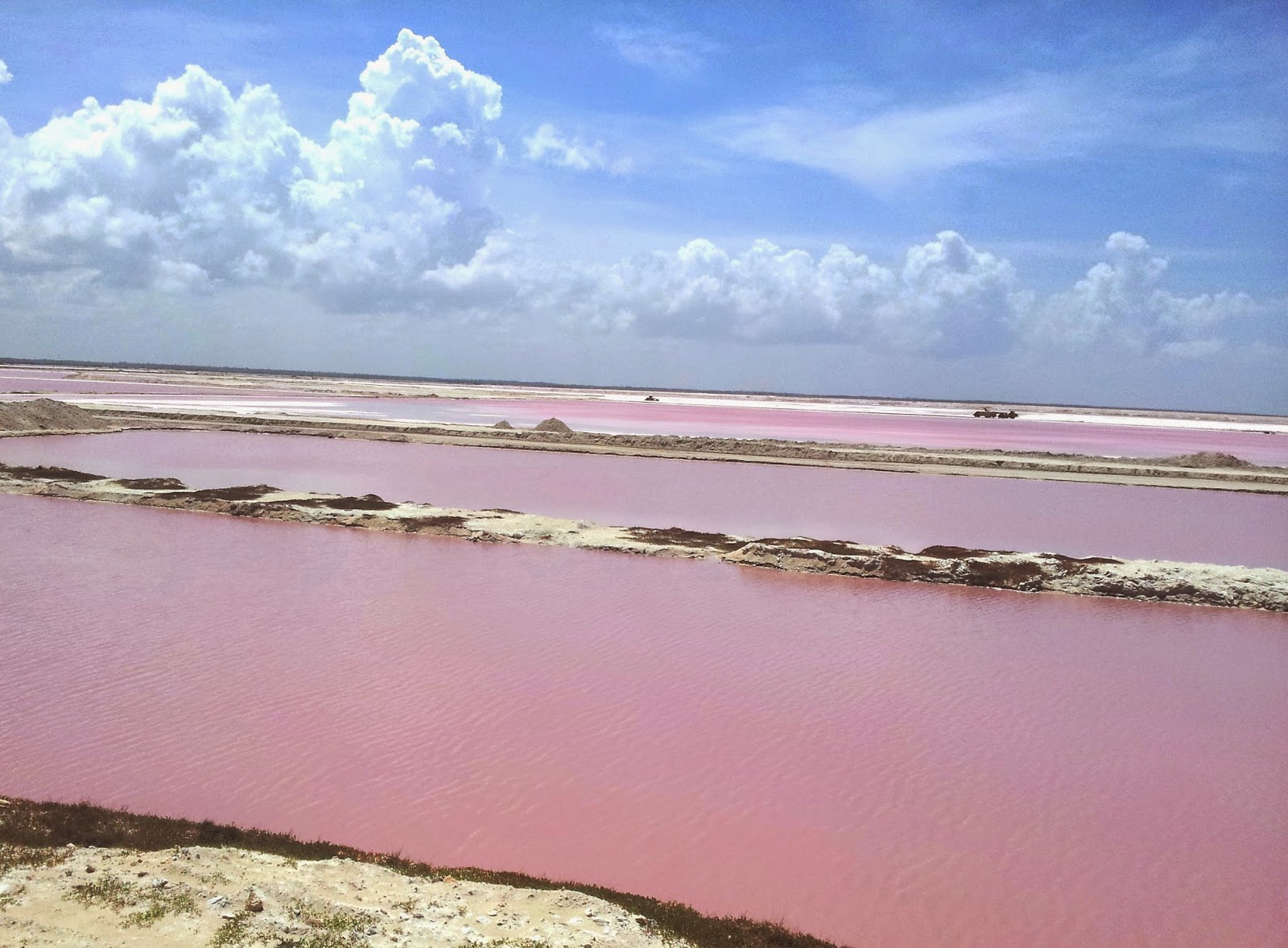   Las Coloradas. Pink lagoon Las Coloradas