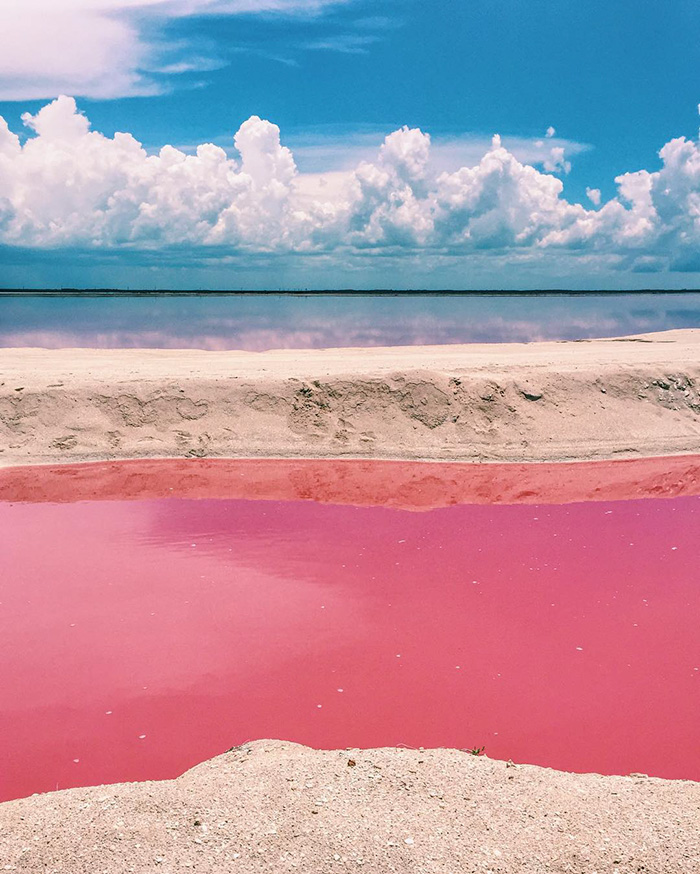   Las Coloradas. Pink lagoon Las Coloradas