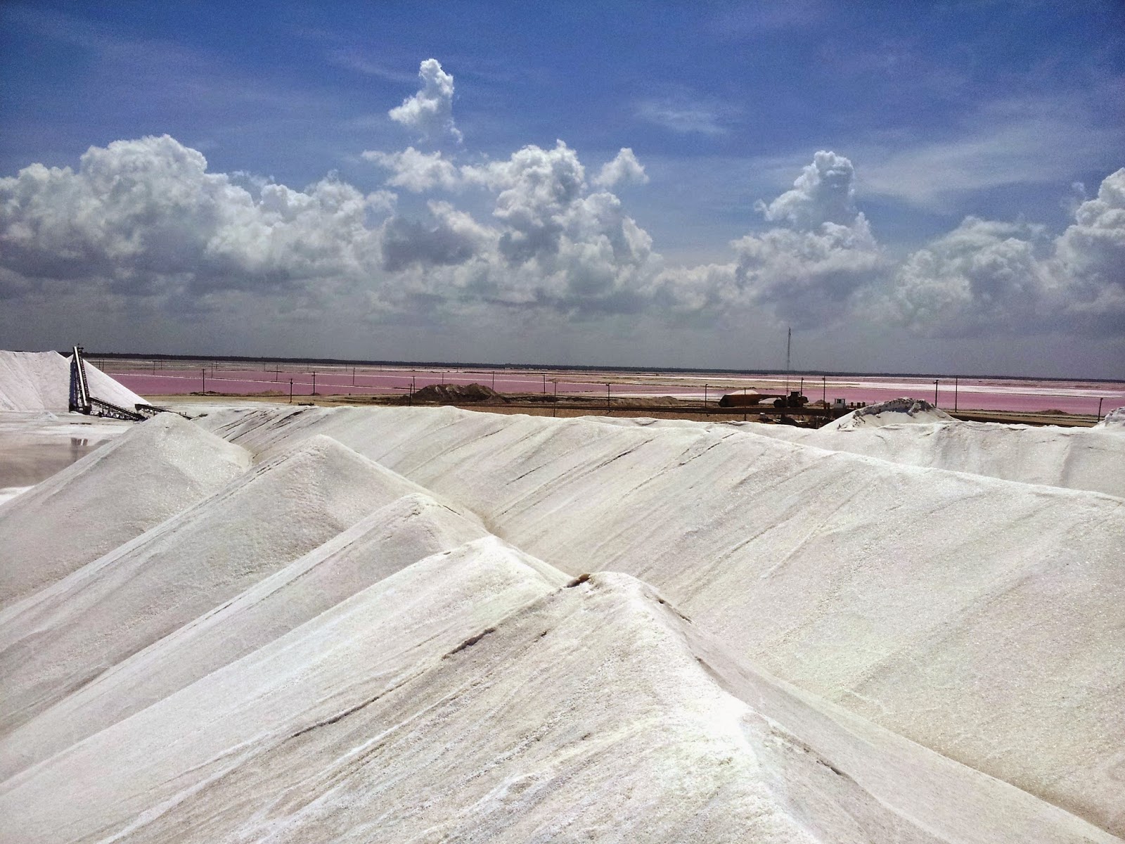   Las Coloradas. Pink lagoon Las Coloradas