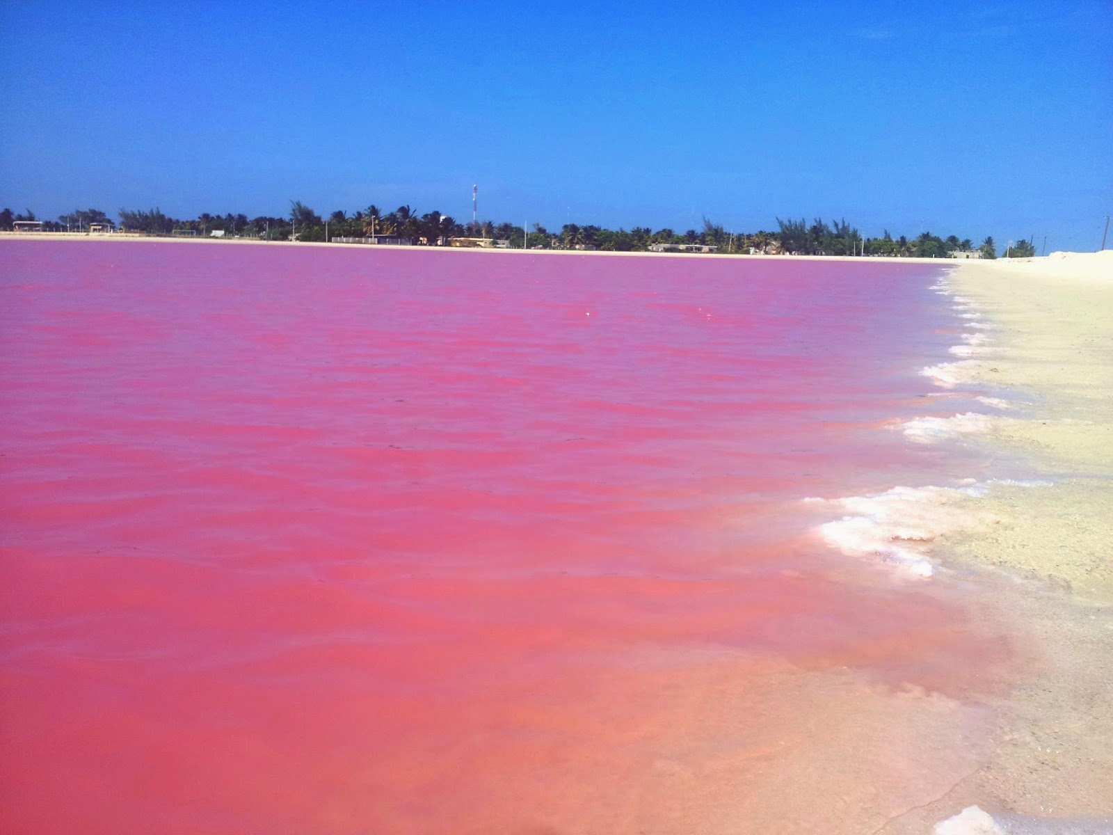  Las Coloradas. Pink lagoon Las Coloradas