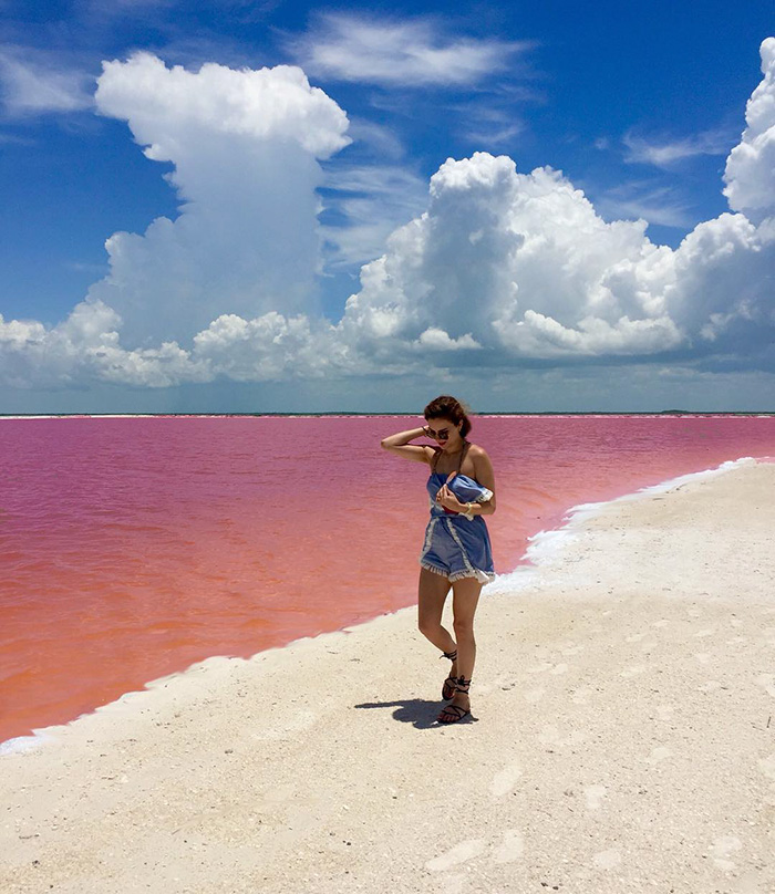   Las Coloradas. Pink lagoon Las Coloradas