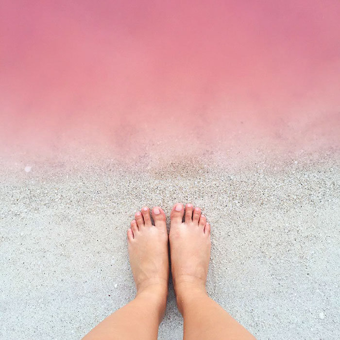   Las Coloradas. Pink lagoon Las Coloradas