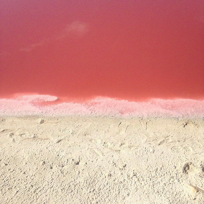   Las Coloradas. Pink lagoon Las Coloradas