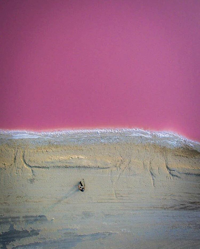   Las Coloradas. Pink lagoon Las Coloradas