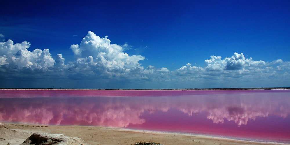   Las Coloradas. Pink lagoon Las Coloradas