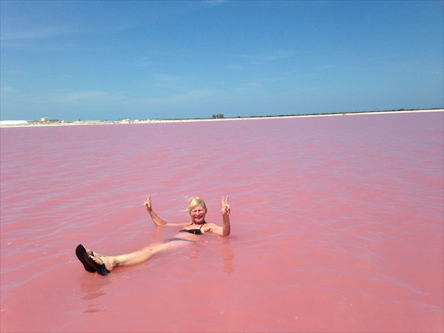   Las Coloradas. Pink lagoon Las Coloradas