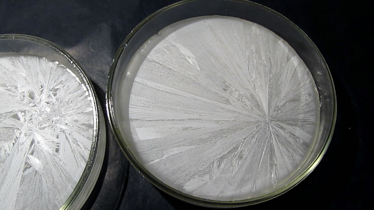        . Crystallization of supersaturated solution of sodium acetate in Petri dish