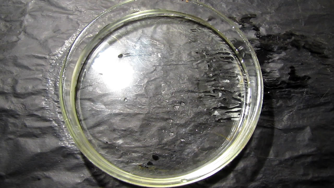 Кристаллизация пересыщенного раствора ацетата натрия в чашке Петри. Crystallization of supersaturated solution of sodium acetate in Petri dish