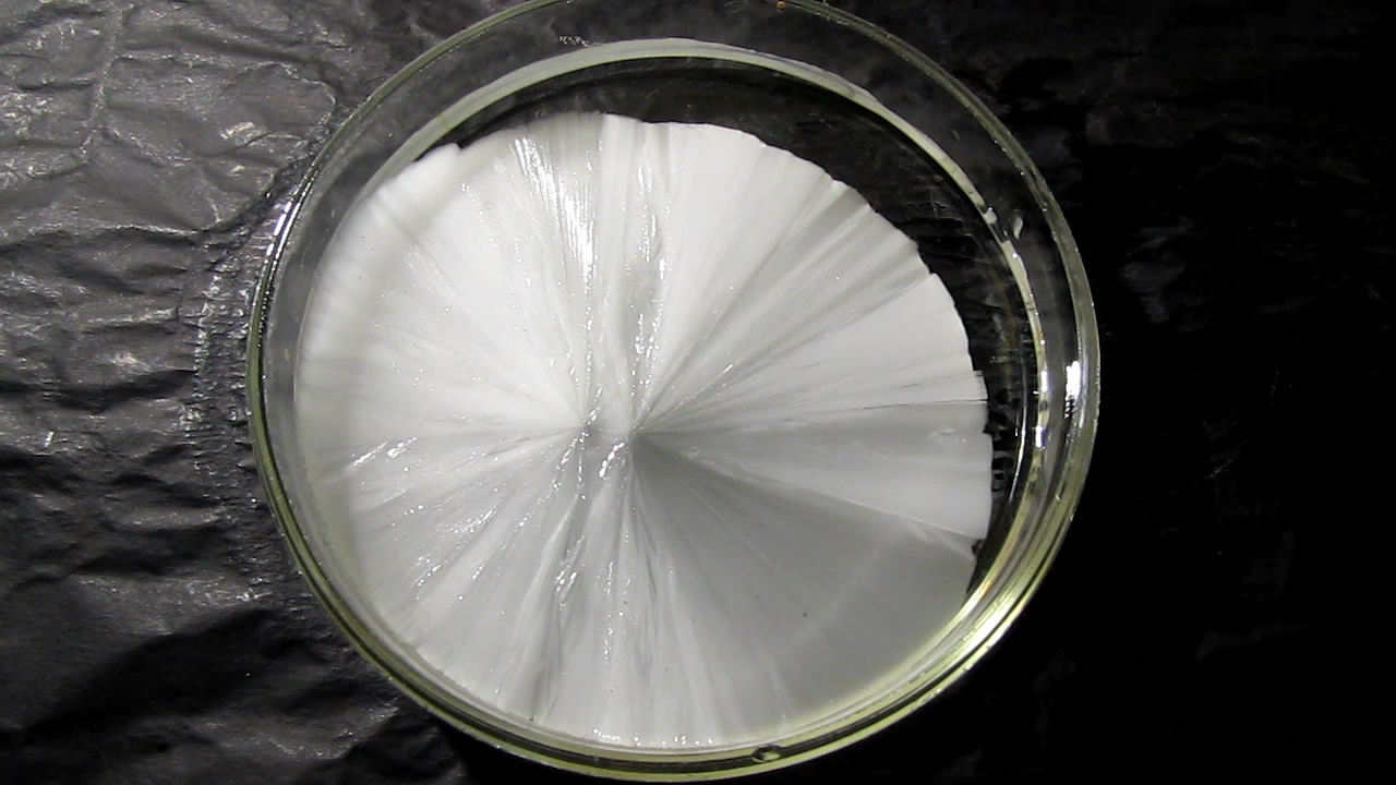        . Crystallization of supersaturated solution of sodium acetate in Petri dish