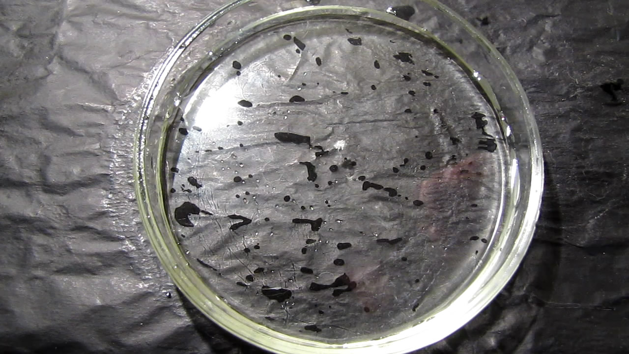        . Crystallization of supersaturated solution of sodium acetate in Petri dish