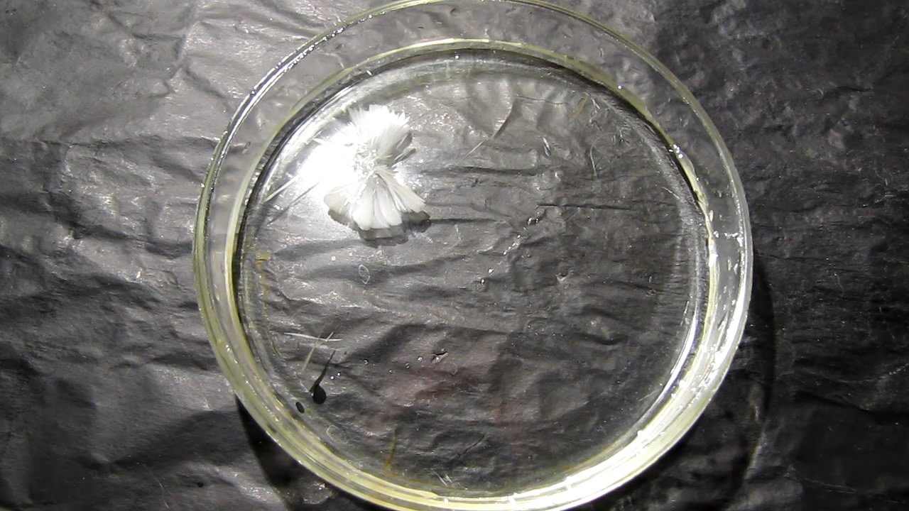 Пересыщенный раствор ацетата натрия: неожиданная кристаллизация. Supersaturated solution of sodium acetate: unexpected crystallization