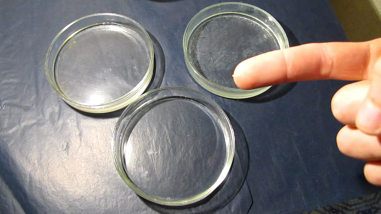       . Crystallization of supersaturated solution of sodium acetate in Petri dish