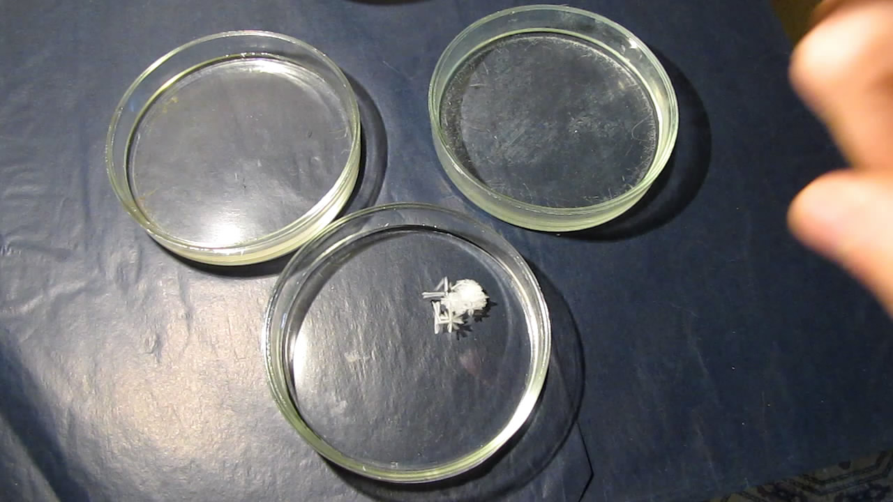        . Crystallization of supersaturated solution of sodium acetate in Petri dish