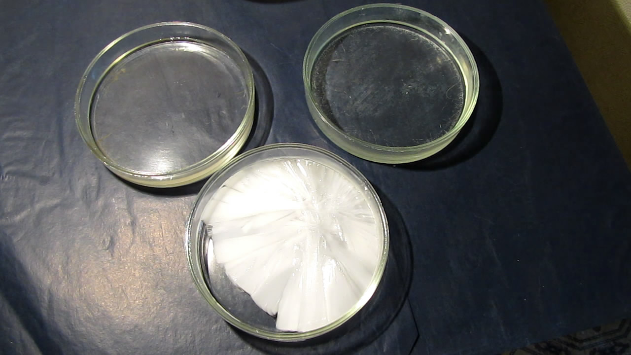        . Crystallization of supersaturated solution of sodium acetate in Petri dish