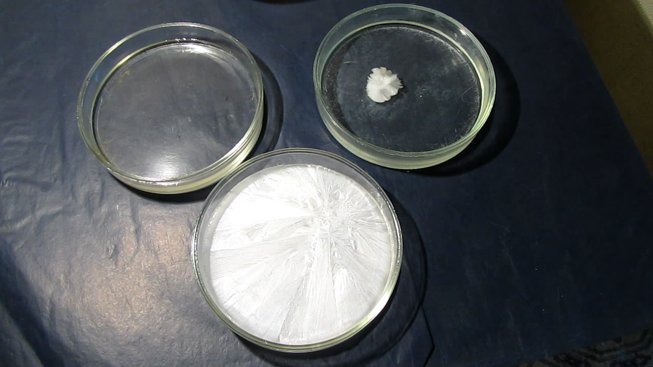        . Crystallization of supersaturated solution of sodium acetate in Petri dish