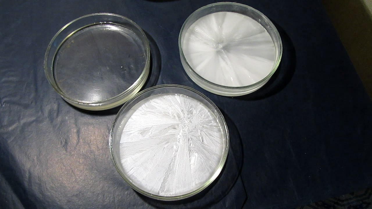        . Crystallization of supersaturated solution of sodium acetate in Petri dish