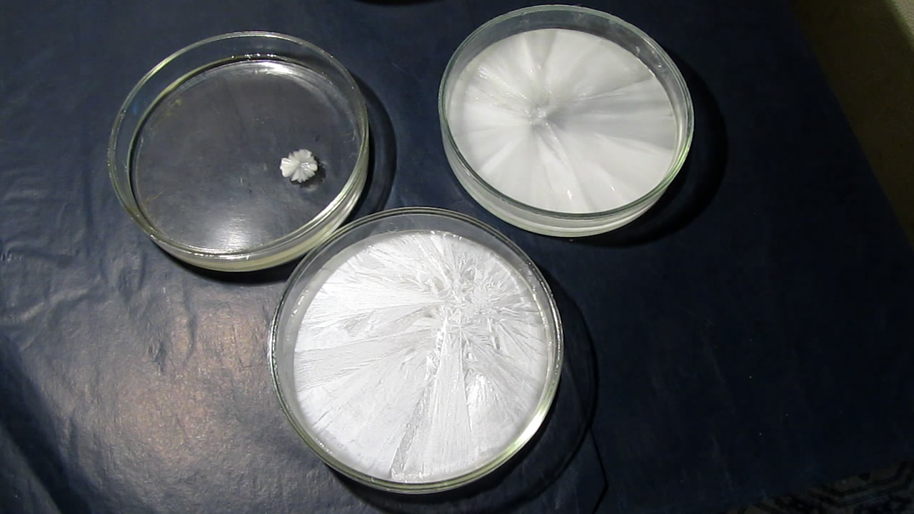        . Crystallization of supersaturated solution of sodium acetate in Petri dish