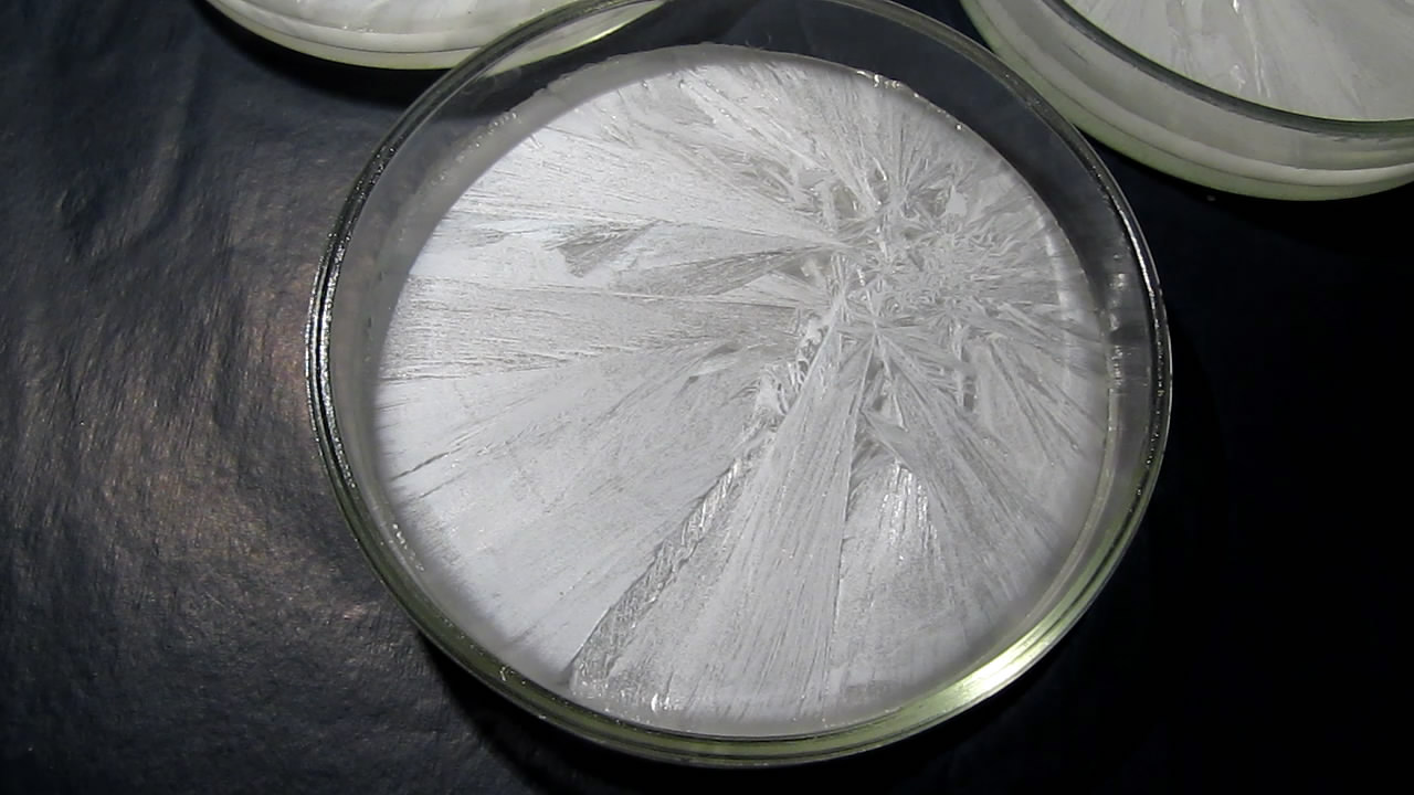        . Crystallization of supersaturated solution of sodium acetate in Petri dish