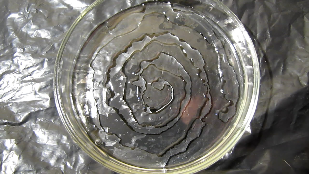    (    ). Spiral and crystallization (supersaturated solution of sodium acetate)