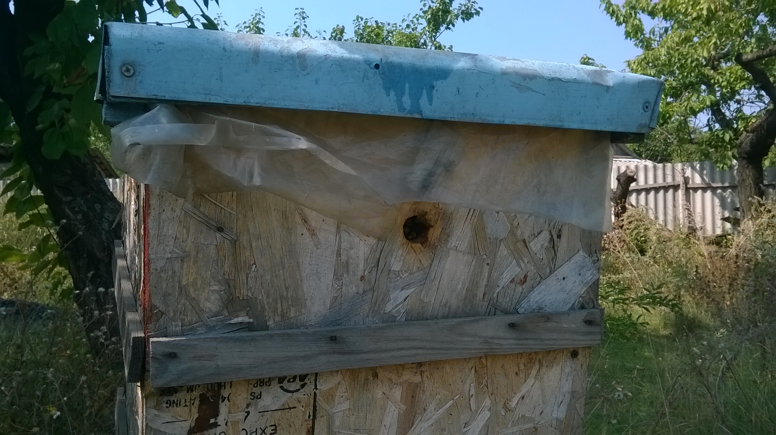    . Wasp and bee apiary