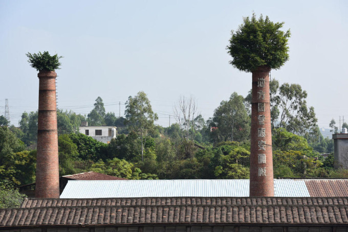       . Large trees are growing on factory chimneys