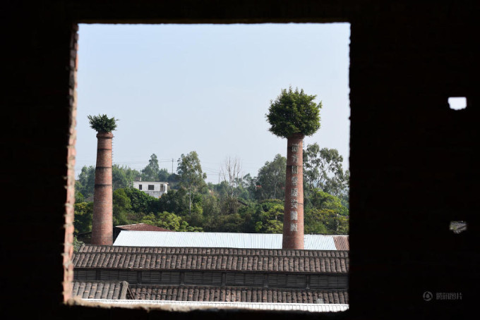       . Large trees are growing on factory chimneys