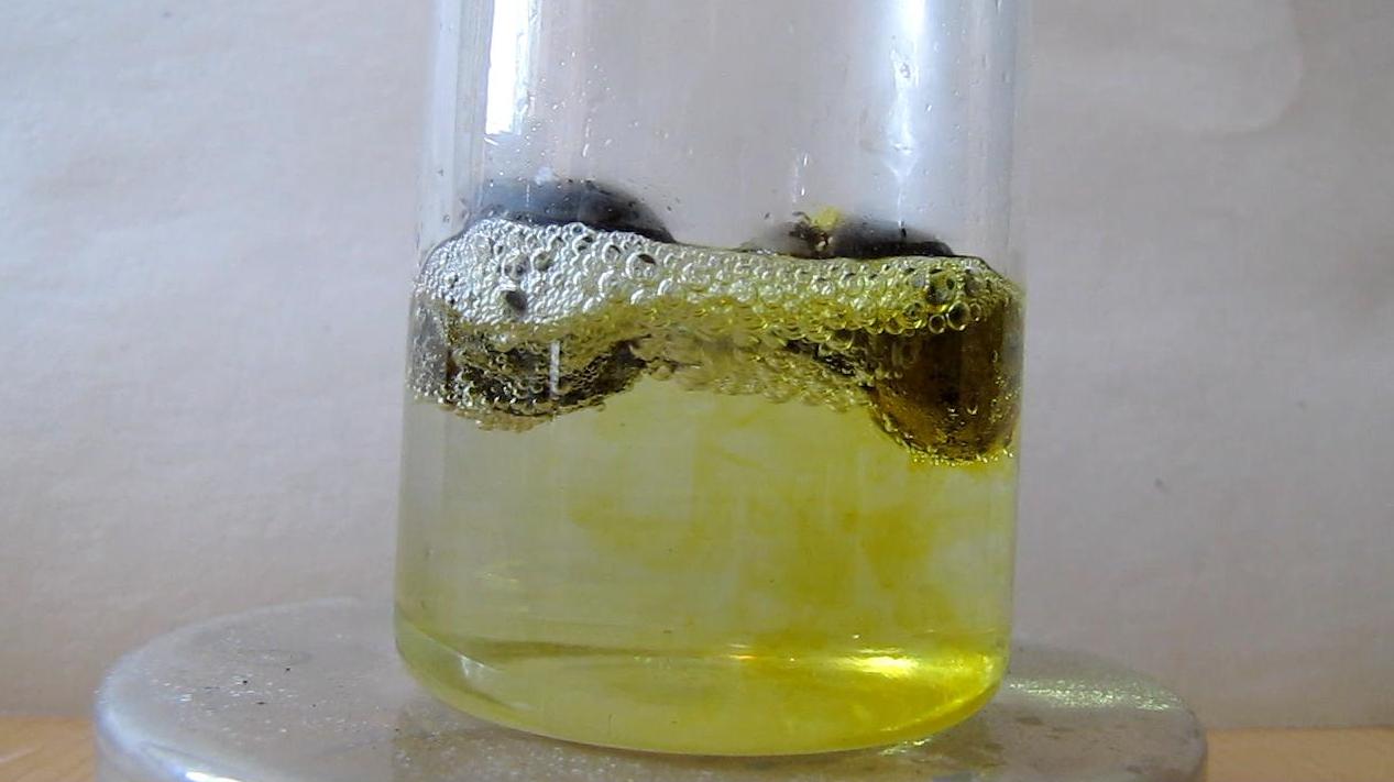 Растворение раковин моллюсков в соляной кислоте