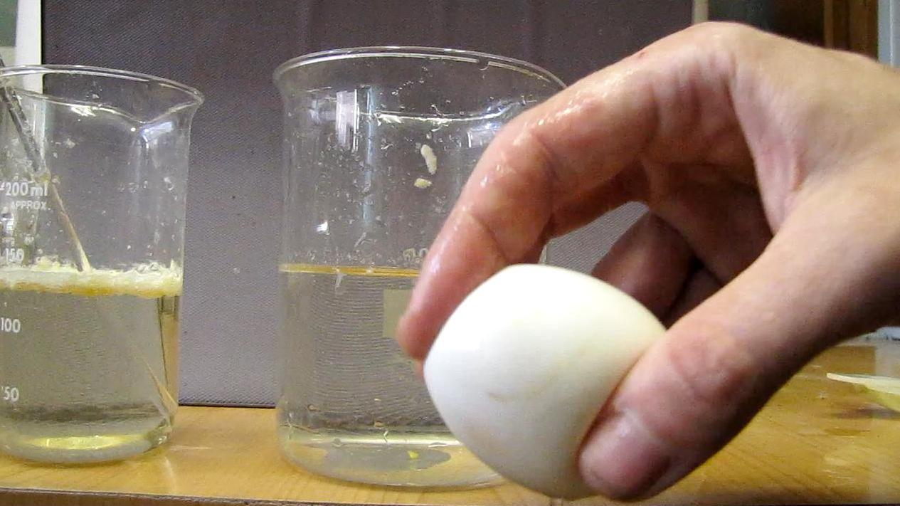 Яйцо и азотная кислота