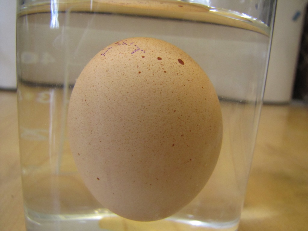 Как проверить свежесть яйца?