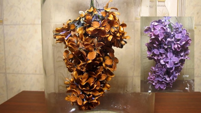 lilac_flowers_ammonia_hydrochloric_acid-27.jpg