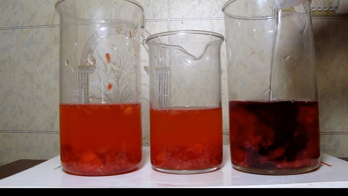 Strawberry_nitric_acid_baking_soda_ammonia-2.jpg