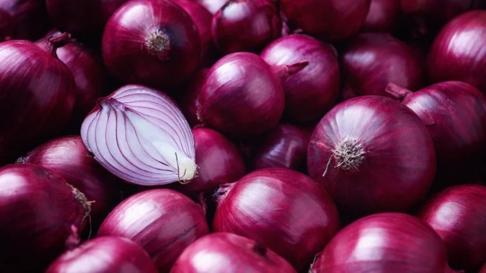 Onion-Red-1.jpg