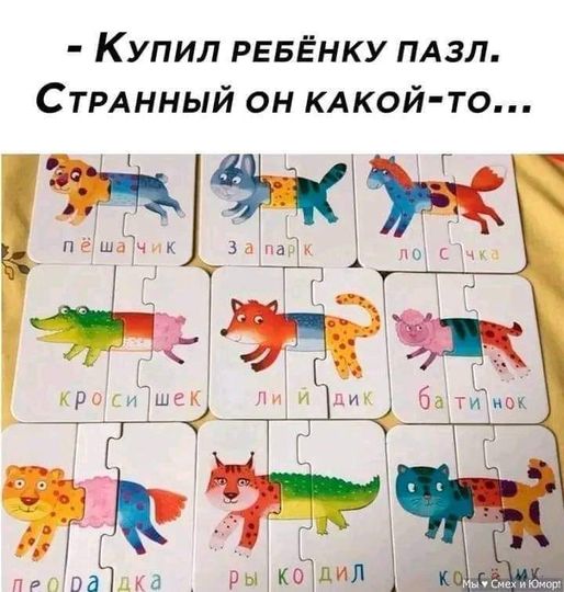 370989341_123736684149712_109143532994084848_n.jpg