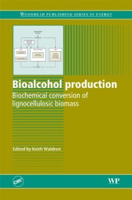 Bioalcohol Production.jpeg