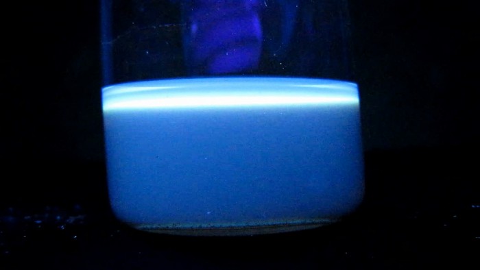 Glowing_cologne-aesculin-41.jpg