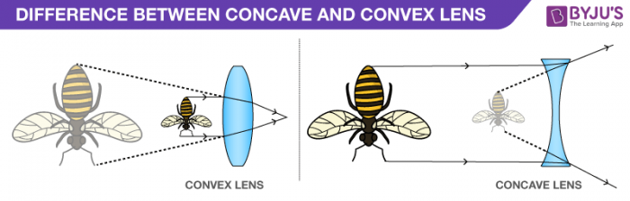 difference-between-concave-and-convex-lens.png
