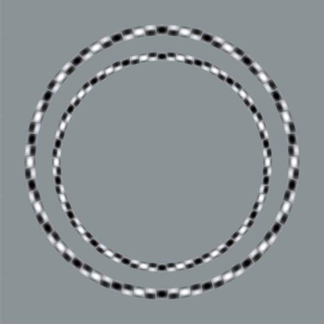 435205045_733652278968197_7041284258660001556_n.jpg