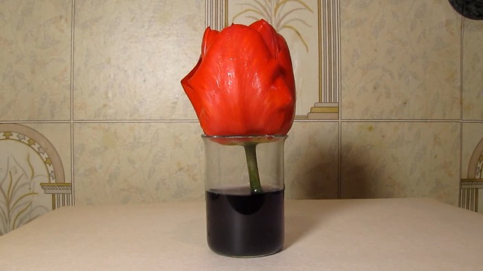 Red_tulip-tap_water-ammonia-hydrochloric_acid-1.jpg
