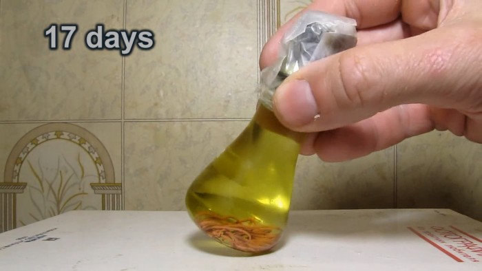 Hydrochloric_acid_dissolves_copper_metal-104.jpg