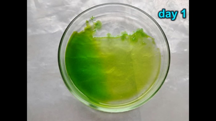 Hydrochloric_acid_dissolves_copper_metal-161.jpg