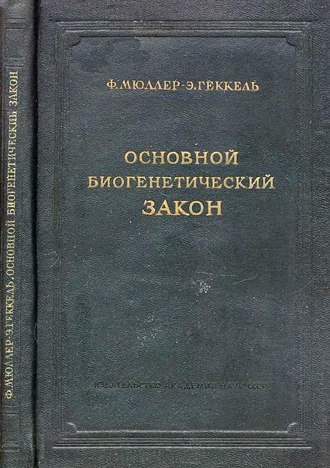 Основной биогенетический закон(40)Мюллер Ф.,Геккель Э.jpg