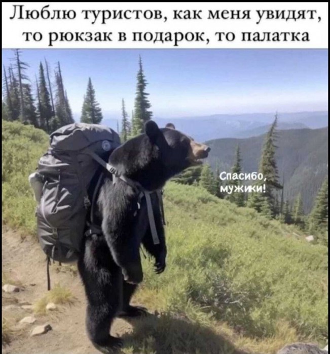 приколы-для-даунов-медведь-баянометр-молчал-8548349.jpeg