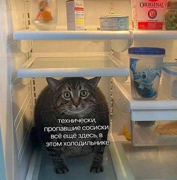 котэ-картинки-с-надписями-Баян-8665443.jpeg