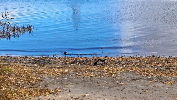 20241102_124744 - Copy.jpg