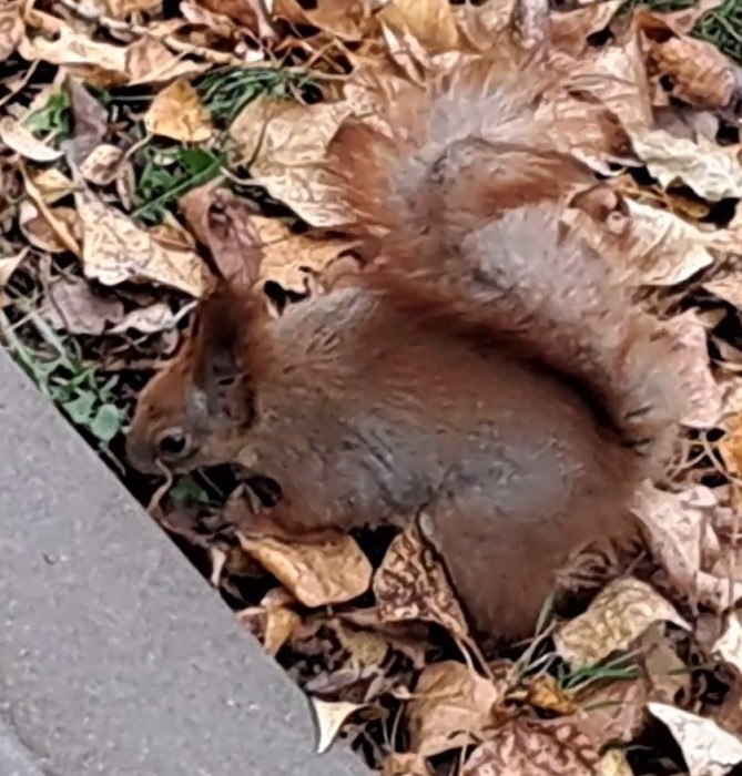 20241110_135118.mp4_snapshot_00.27.344.jpg