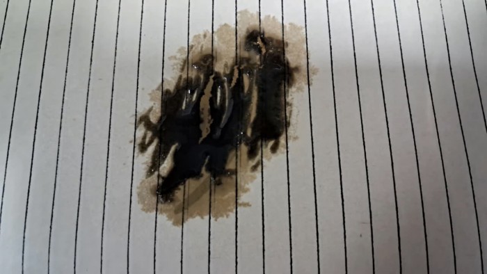 Qualitative_Analysis_Identification_Sulfuric_Acid-18.jpg